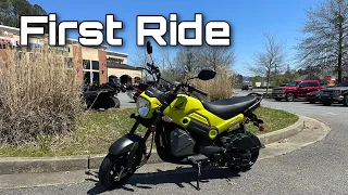 Honda Navi First Ride/Review