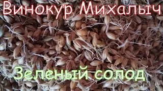 Винокур Михалыч Зеленый Солод