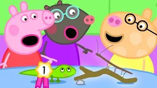 Der Haustierwettbewerb 🐢 Ganze Episode | Cartoons für Kinder | Peppa Wutz Neue Folgen