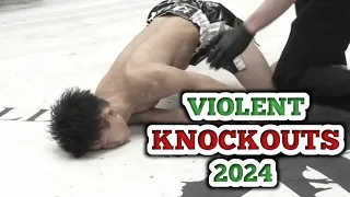 20 Violent Knockouts In MMA 2024 | Top Fights