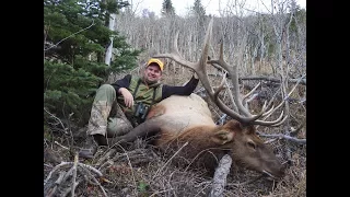 Elk Rifle Hunting in Wyoming (Giant Last Day Bull Elk)