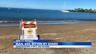 Man in serious condition after shark attack at Anaehoomalu Bay on Big Island