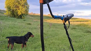 Накопал монет вдоль реки. Что там было?