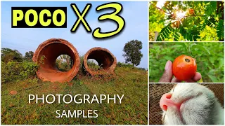 POCO X3 Photography Samples | Camera Quality Test | 64Mp/ Ultra Wide/ Macro/ Night Mode