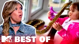 Ridiculousnessly Popular Videos: Reptiles Edition 🐍 Ridiculousness