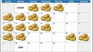 Potato Diet - My Wife's 28 Day Results