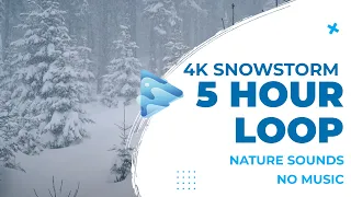 4K Snowstorm  |  5 Hours  | Nature Sounds & No Music