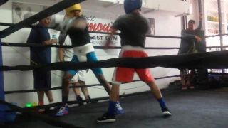 Sparring day at 5th Street Gym (Miami Beach)