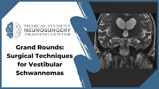 Grand Rounds: Surgical Techniques for Vestibular Schwannomas