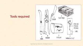 Herbarium Techniques