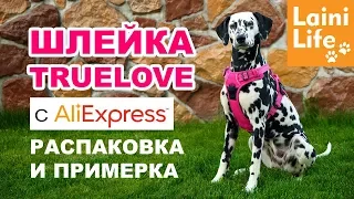 Шлейка для собаки TRUELOVE с Aliexpress