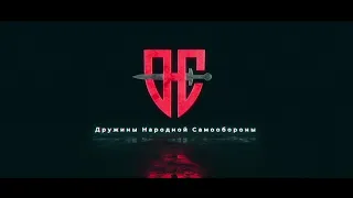 Дружины Народной Самообороны. Функциональное построение