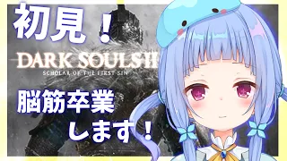 【DARK SOULS2】#01 無印より鬼畜らしいダークソウル2を初見攻略【新人Vtuber/水乃くらゑ】