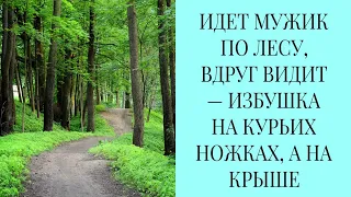 Идет мужик по лесу, вдруг видит — избушка на курьих ножках...