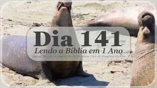 A BÍBLIA EM UM ANO (DIA 141) | JOSÉ HILÁRIO DIAS FONTES
