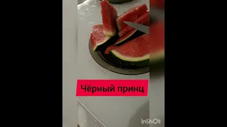 Черный принц!!!!Сорт арбуза без косточек.