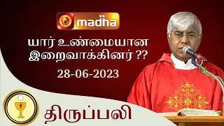 🔴 LIVE 28 JUNE 2023 Holy Mass in Tamil 06:00 PM (Evening Mass) | Madha TV