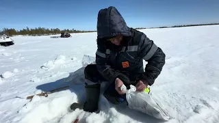 Нашли озеро с щукой , смотрим …