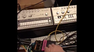 Modular Jam with TB3030 + TR606