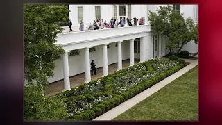 White House Rose Garden