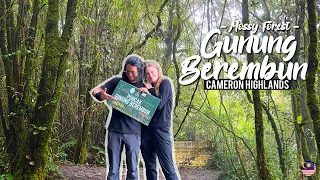 Why Is Nobody Hiking Here? | Gunung Berembun, Cameron Highlands 🇲🇾