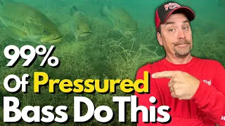 You'll Never Wonder Where Bass Went Again - See Proof Underwater