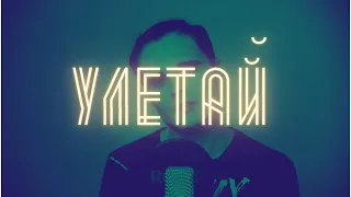 Андрей Губин - Улетай (cover by Кристиан Зейн)