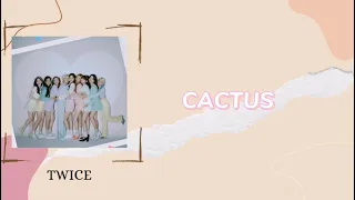 TWICE CACTUS 韓中字幕 認聲