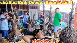 Phương Bình Mạnh Hùng nói 1 câu nhân vật bí ẩn chốt nhanh 7 cây phôi tứ quý khủng chú Sáu Bình Dương