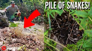 HUGE Pile of Copperheads! 30+ Snake Hike in North Georgia: Copperheads, Rattlesnakes, and Camping!