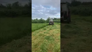 Mowing hay 4th June 2021