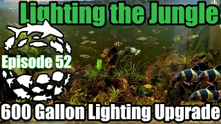 Lighting the Jungle Aquarium! 600 Gallon Asian Jungle Aquarium Lighting Upgrade.