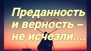 Преданность и верность не исчезли.