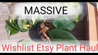 Massive Plant Haul|Wishlist Plants Unboxing|Etsy Plant Shop Shout Out!!