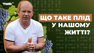 Що таке плід у нашому житті? | Олександр Чмут