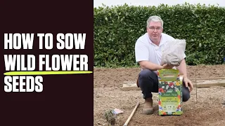 How to Sow Wild Flower Seeds