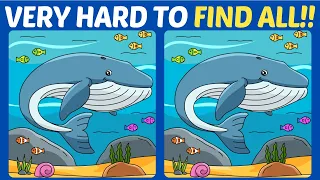 【Spot the difference】🌈 Fun and Fast 10minutes Brain Workout!!【Find the difference】