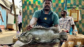 KASIMEDU SELVAM BLACK KODUVA FISH CUTTING VIDEO | KASIMEDU SPEED SELVAM FISH CUTTING  UK SONS MARINE