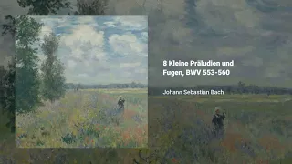 8 Kleine Präludien und Fugen, BWV 553-560, Johann Sebastian Bach, Robert Köbler