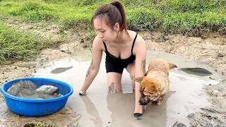 While sowing seeds, suddenly encounter a big fish - Cook delicious fish dish | Ngân Daily Life