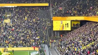 BVB AUFSTELLUNG