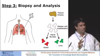 Diagnostic Barcoded Nanoparticles for Personalized Cancer Medicine