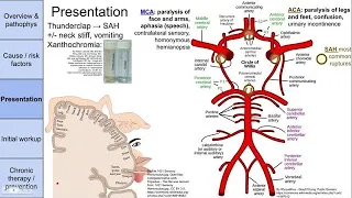 Stroke (cerebrovascular accident, CVA)