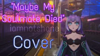 Maybe My Soulmate Died 🌆 Cover by Sejitsuna