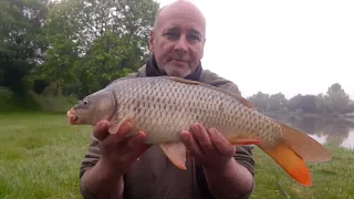 méthode feeder aux pellets