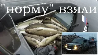 МОРСКАЯ УДАЧНАЯ РЫБАЛКА / НОРМУ ВЗЯЛИ / SEA FISHING