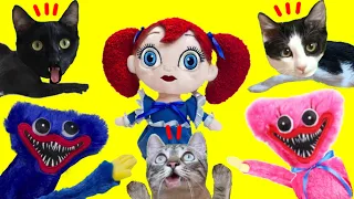 Poppy Huggy Wuggy y Kissy Missy vs gatos Luna y Estrella en casa de la vida real / Videos de gatitos