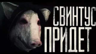 СВИНТУС ПРИДЁТ