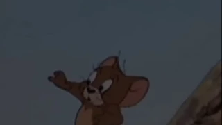 Tom and jerry Cartoon   Hatch Up Your Troubles