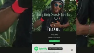 Flexable - Natural Mystic